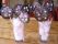 Sucettes au chocolat Sucettes au chocolat