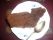 Le gâteau au chocolat riche Le gâteau au chocolat riche