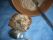 Rillettes de sardines express Rillettes de sardines express