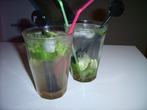 Vos Mojitos