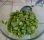 Fèves en salade Fèves en salade