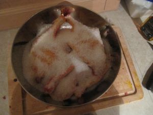 une fois découpés les cuisses, les manchons et les magrets sont mis au sel