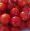 tomates cerises du jardin