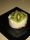 Mousse de kiwi Mousse de kiwi
