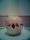 Pomme surprise Pomme surprise