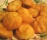 Recette des chouquettes Recette des chouquettes