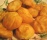 Recette des chouquettes